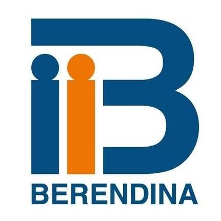 BDS Logo
